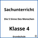 Die 5 Sinne Des Menschen