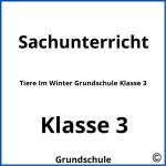 Tiere Im Winter Grundschule Klasse 3